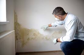 Best Mold Remediation for Healthcare Facilities  in Belle, MO